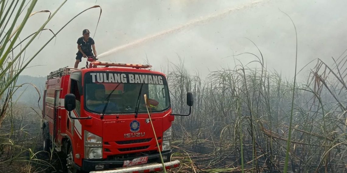 Kebakaran Lahan di Tulang Bawang Lampung Capai 6 Hektare
