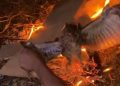 Burung Hantu Dibakar Hidup Hidup di Manggarai Barat, 3 Pelaku Ditangkap