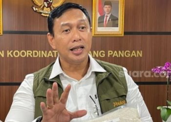 Program MBG Dipastikan Pakai Beras Premium, Bulog: Tidak Ada Beras Subsidi