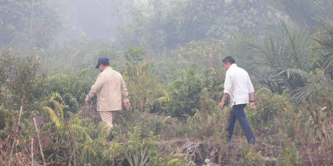 Prabowo Ultimatum Korporasi Pembakar Hutan: Pasti Ditindak