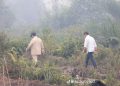 Prabowo Ultimatum Korporasi Pembakar Hutan: Pasti Ditindak