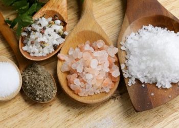 Ingin Masakan Tetap Gurih Tanpa Banyak Garam? Ini Pilihannya