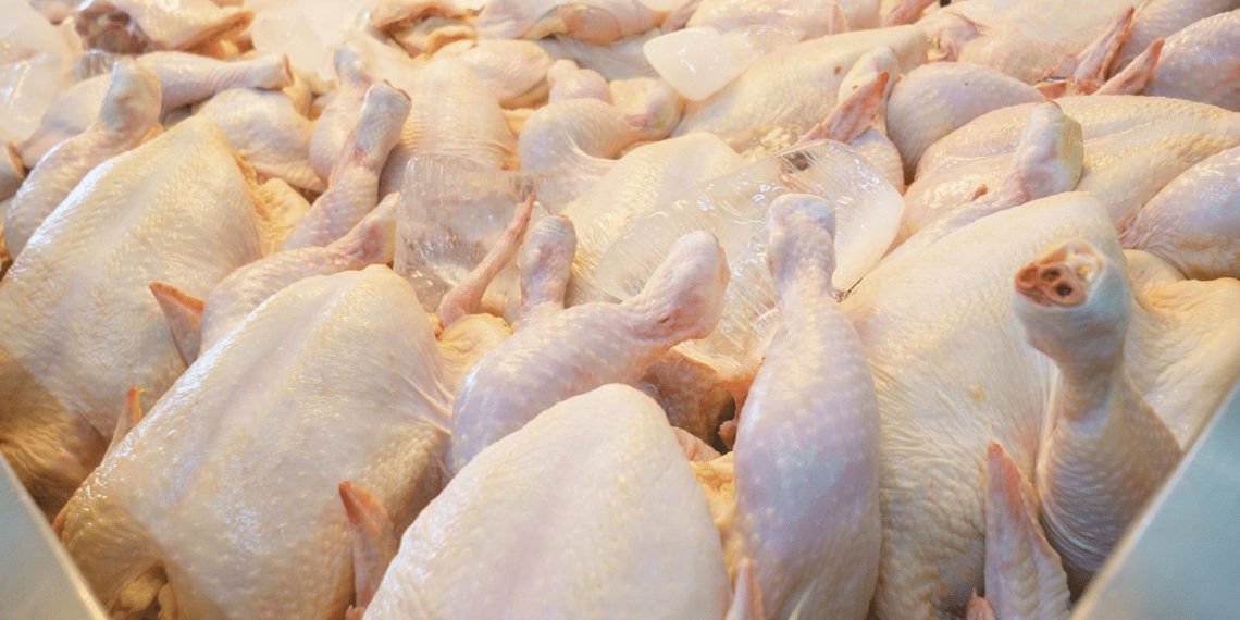 Harga Ayam Naik Tajam hingga Rp100 Ribu, Apa Penyebabnya?