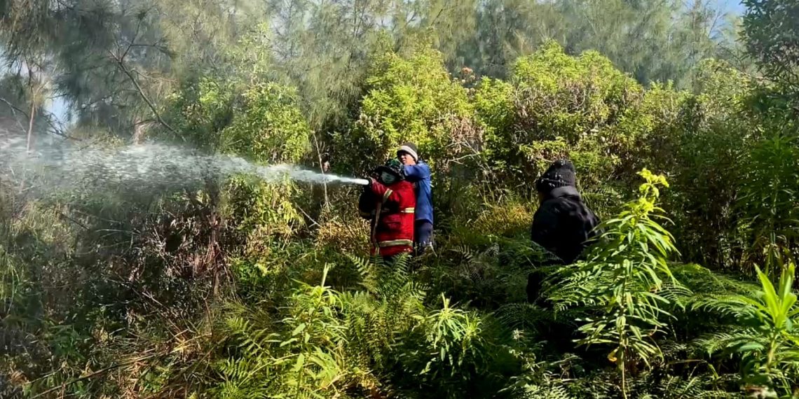 Api Padam, Tim Gabungan Sisir Bara Tersisa di Kawasan Bromo
