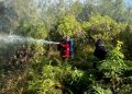 Api Padam, Tim Gabungan Sisir Bara Tersisa di Kawasan Bromo