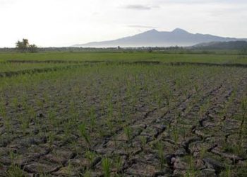 Kekeringan di Kabupaten Bogor Kian Parah, 140 Ribu Jiwa Kesulitan Air Bersih