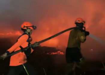 DPR Ingatkan Bahaya Karhutla, Pemerintah Diminta Prioritaskan Keselamatan Warga