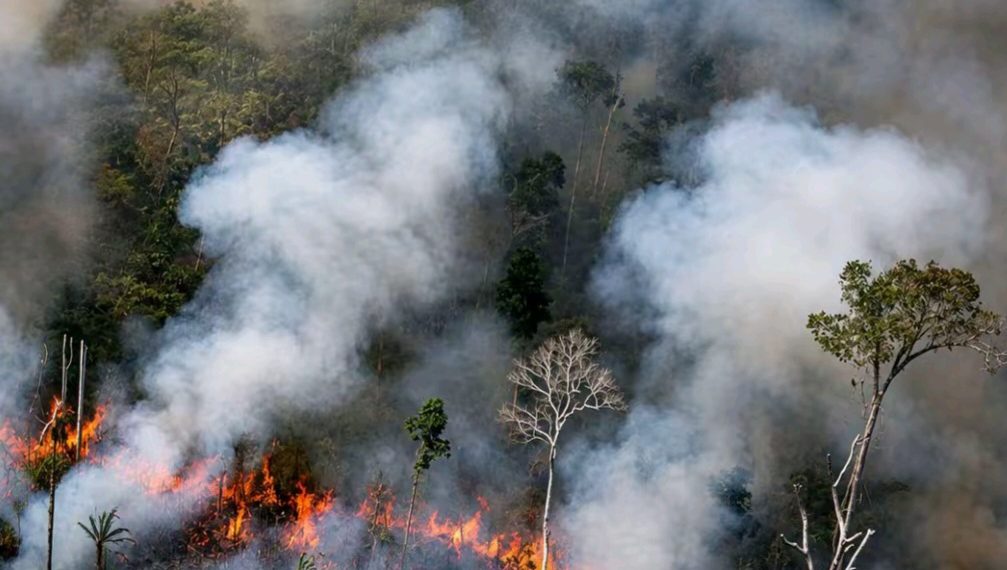 Karhutla Kalimantan Kirim Kabut Asap ke Malaysia, Pemerintah Bergerak