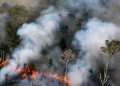 Karhutla Kalimantan Kirim Kabut Asap ke Malaysia, Pemerintah Bergerak