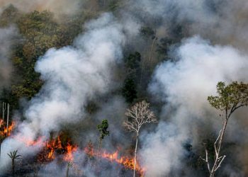 Karhutla Kalimantan Kirim Kabut Asap ke Malaysia, Pemerintah Bergerak