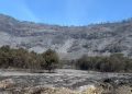 Karhutla Bromo Mereda, Kemenhut Pastikan Tak Ada Bara Tersisa