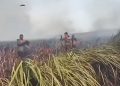 Karhutla Meluas, Sumber Air untuk Pemadaman Mulai Menyusut
