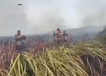 Karhutla Meluas, Sumber Air untuk Pemadaman Mulai Menyusut