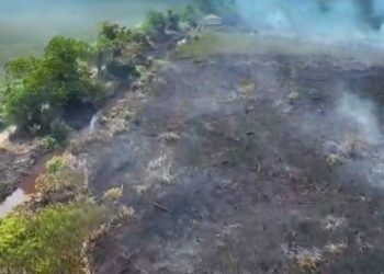 6 Perusahaan Dijatuhi Sanksi Imbas Karhutla di Kalbar, 1 Izin Dibekukan