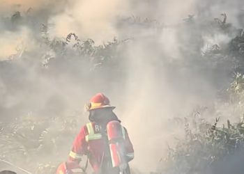 Bakar Lahan Setengah Hektare, Pasutri di Samarinda Ditangkap