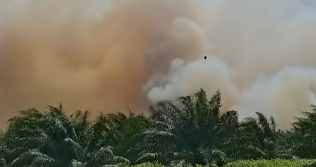 Merokok Saat Ukur Lahan, Pria Ini Jadi Tersangka Karhutla