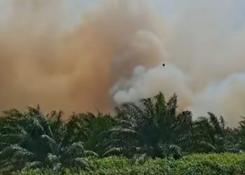 Merokok Saat Ukur Lahan, Pria Ini Jadi Tersangka Karhutla