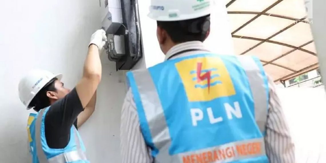 PLN