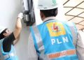PLN