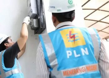 PLN