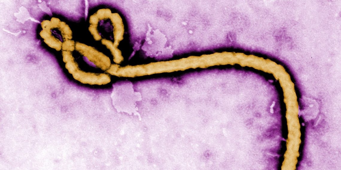 Wabah Ebola di Kongo
