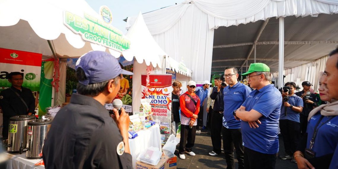 produktivitas cabai rawit Petrokimia Gresik