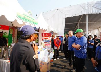 produktivitas cabai rawit Petrokimia Gresik