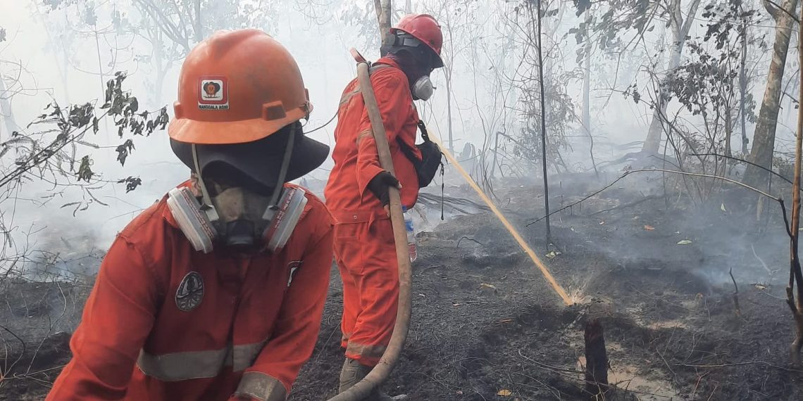 Pemerintah mengerahkan 12.880 personel gabungan untuk menangani karhutla di Kalimantan Barat, Kalimantan Tengah, dan Kalimantan Selatan (Foto/Kemenhut)