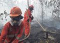 Pemerintah mengerahkan 12.880 personel gabungan untuk menangani karhutla di Kalimantan Barat, Kalimantan Tengah, dan Kalimantan Selatan (Foto/Kemenhut)