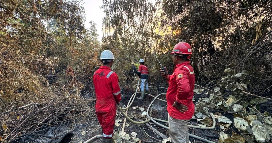 PT Mayawana Persada memperkuat kesiapsiagaan karhutla di Kalbar dengan 170 personel, delapan posko, pemantauan hotspot, dan pengelolaan hidrologi gambut.
