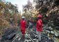 PT Mayawana Persada memperkuat kesiapsiagaan karhutla di Kalbar dengan 170 personel, delapan posko, pemantauan hotspot, dan pengelolaan hidrologi gambut.