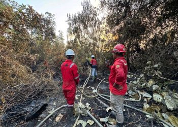 PT Mayawana Persada memperkuat kesiapsiagaan karhutla di Kalbar dengan 170 personel, delapan posko, pemantauan hotspot, dan pengelolaan hidrologi gambut.