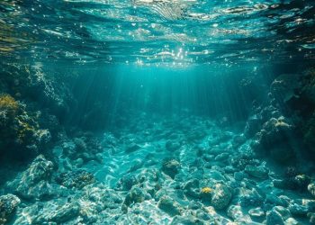 Menguak Potensi Besar Laut Dalam Indonesia