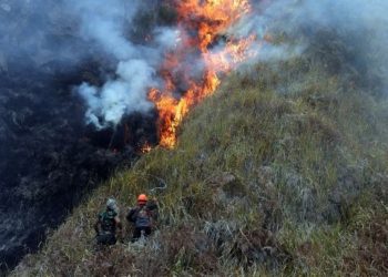 Cuma Gara-Gara Perapian? Kebakaran Gunung Bromo Hanguskan 176 Hektare