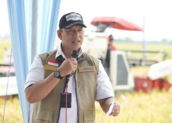 Pemerintah Naikkan Margin Bulog Jadi 7% agar Kualitas Beras Meningkat