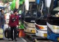 Kemenhub Ungkap Bus Bodong Masih Beroperasi, Penumpang Wajib Waspada