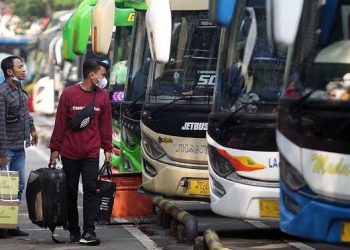 Kemenhub Ungkap Bus Bodong Masih Beroperasi, Penumpang Wajib Waspada