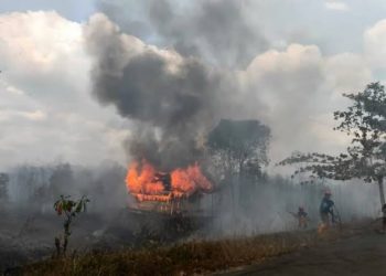 Karhutla Bromo Makin Meluas, Semua Pintu Masuk Wisata Ditutup