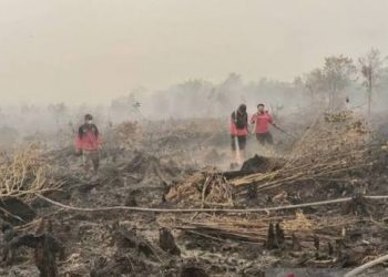 Malaysia dan Singapura Diminta Ikut Atasi Karhutla di Indonesia