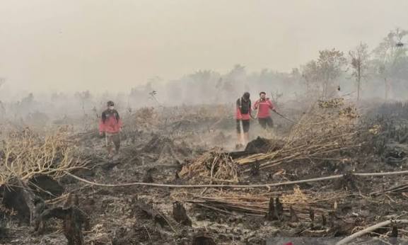 Malaysia dan Singapura Diminta Ikut Atasi Karhutla di Indonesia