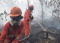 Karhutla Meluas di 9 Polda, 72 Orang Jadi Tersangka