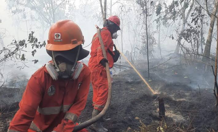 Karhutla Meluas di 9 Polda, 72 Orang Jadi Tersangka