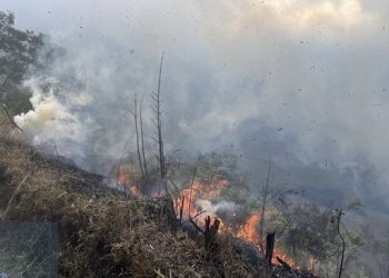 Karhutla di Blok Bantengan Bromo, Tiga Jalur Masuk Wisata Ditutup