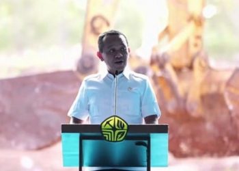 Indonesia Segera Miliki Dua Pabrik Baterai EV, Fasilitas Karawang Siap Diresmikan