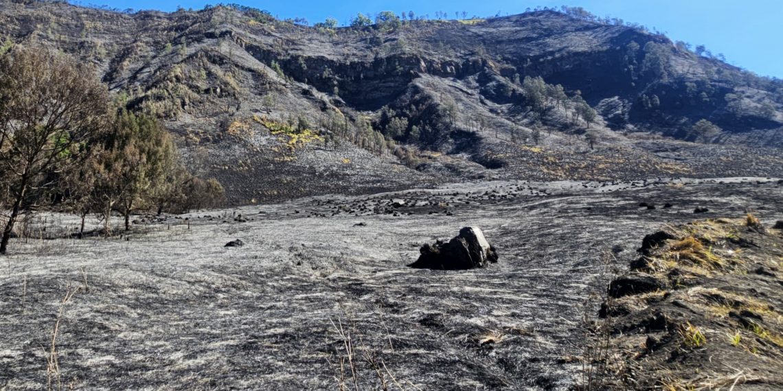 Imbas Kebakaran Bromo, Kemenpar Siapkan Opsi Refund dan Reschedule untuk Wisatawan