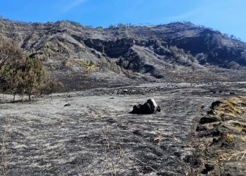 Imbas Kebakaran Bromo, Kemenpar Siapkan Opsi Refund dan Reschedule untuk Wisatawan