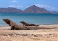 Taman Nasional Komodo - Pexels/Jeffry Surianto