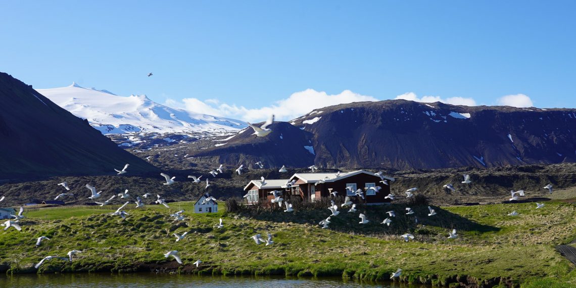 Islandia - pexels/X1ntao ZHOU