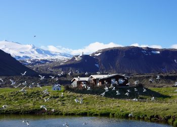 Islandia - pexels/X1ntao ZHOU