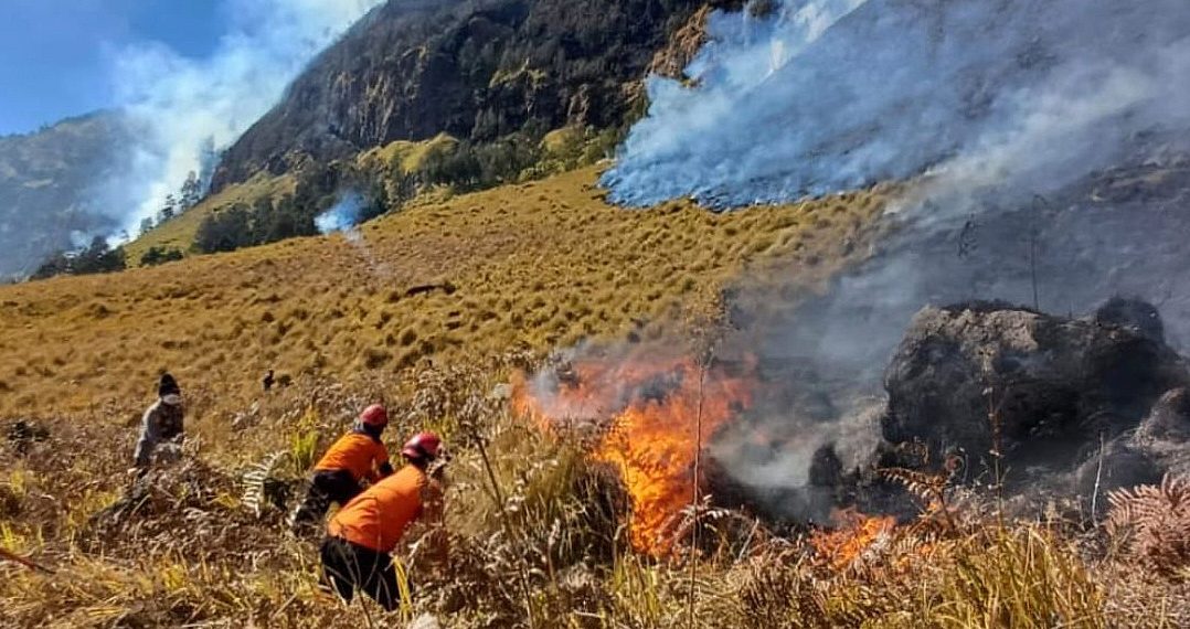 Wisata Gunung Bromo Ditutup Total Akibat Kebakaran yang Meluas